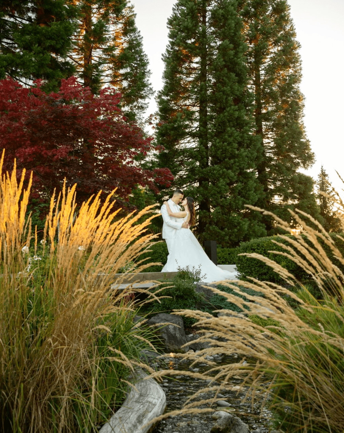 Candè bride in sunset gardens, Okanagan